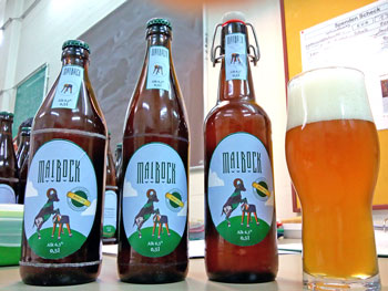 maibock 1m