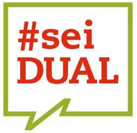 logo seidual