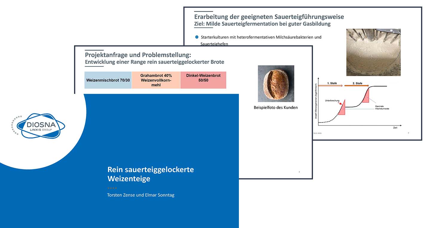 vortrag sonntag