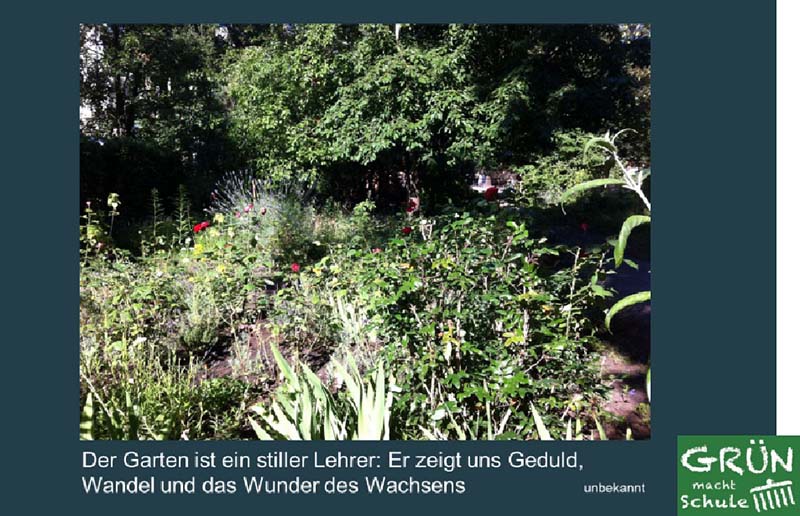 2025 11 fb schulgarten 4s