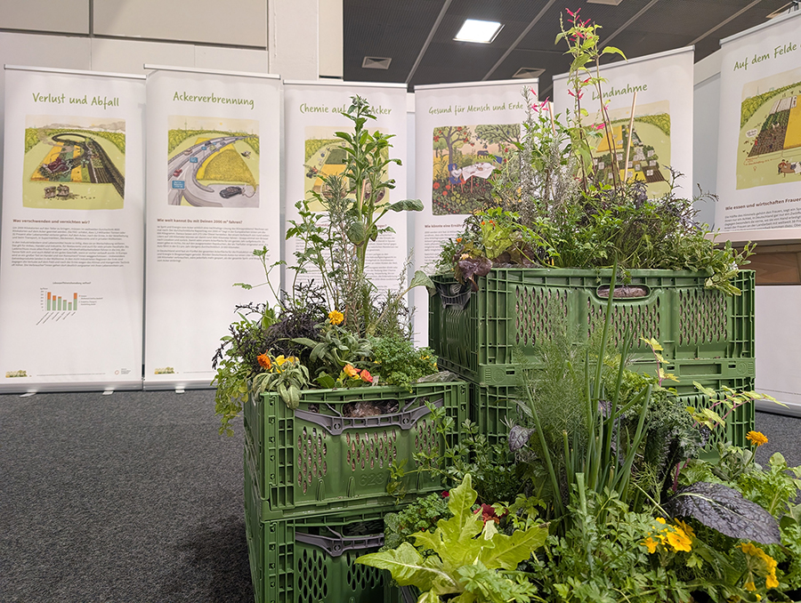 pxl 20260122 134846845 s