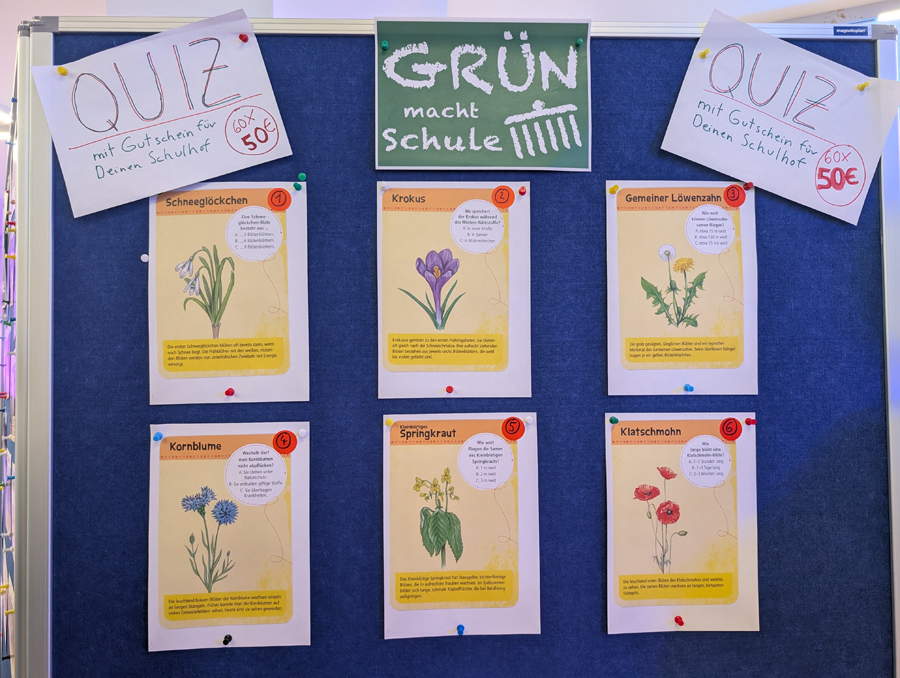 pxl 20251125 091625802 s