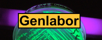 Genlabor