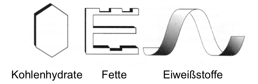 efs logo erlaeutert